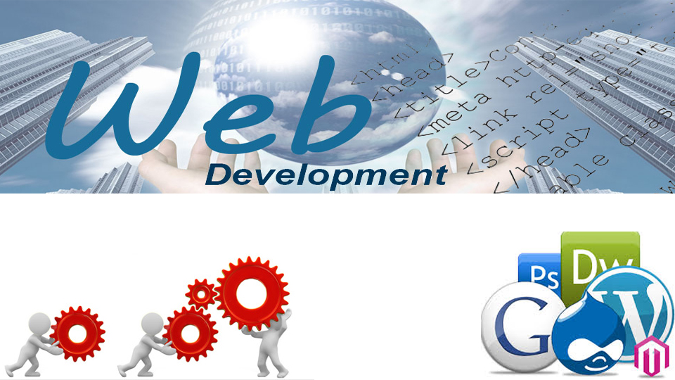 Affordable Website Development Services