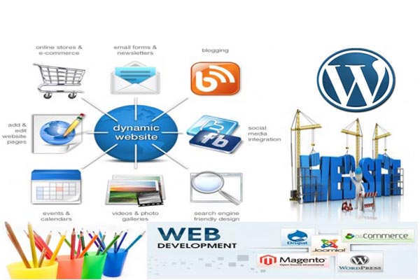 Affordable Dynamic Web Design in Delhi